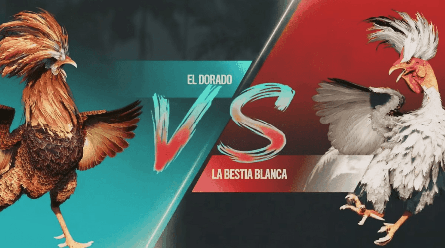 3qq Brasil Slots de plataforma